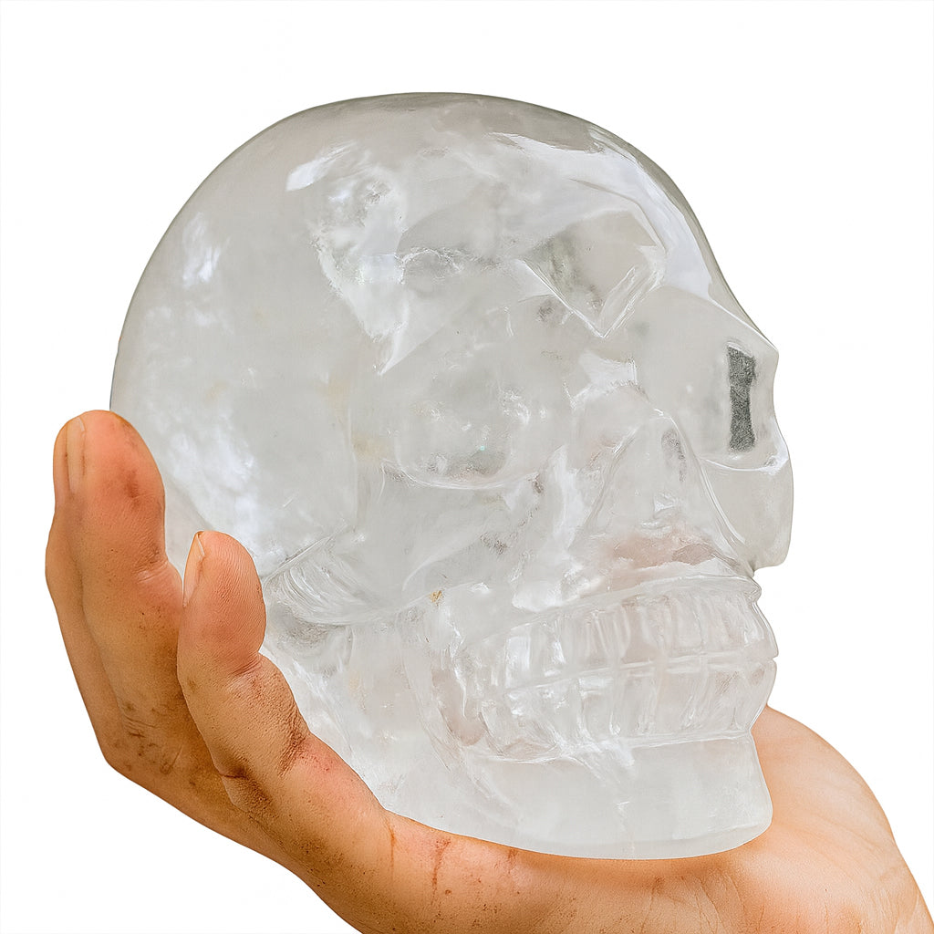 Grosser Kristall-Totenkopf aus echtem Bergkristall (1500–1600 g) – gehalten in kräftiger Männerhand auf weissem Hintergrund. Handgeschliffener Kristallschädel, Symbol für Stärke, Energie, Klarheit und nordische Handwerkskunst.